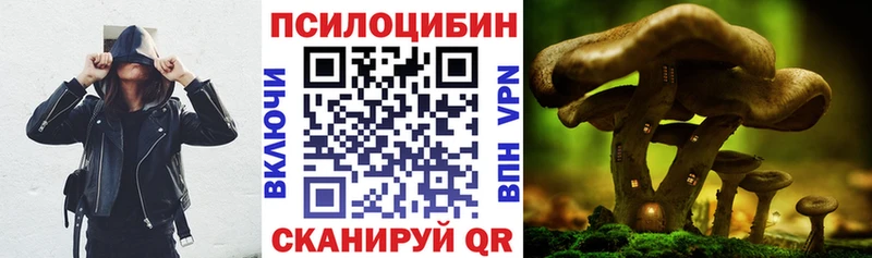 Псилоцибиновые грибы мухоморы  hydra зеркало  Юрга  где купить  