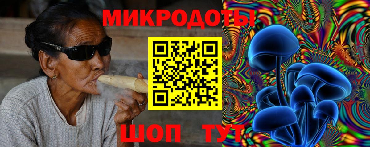 Псилоцибиновые грибы Psilocybe Юрга